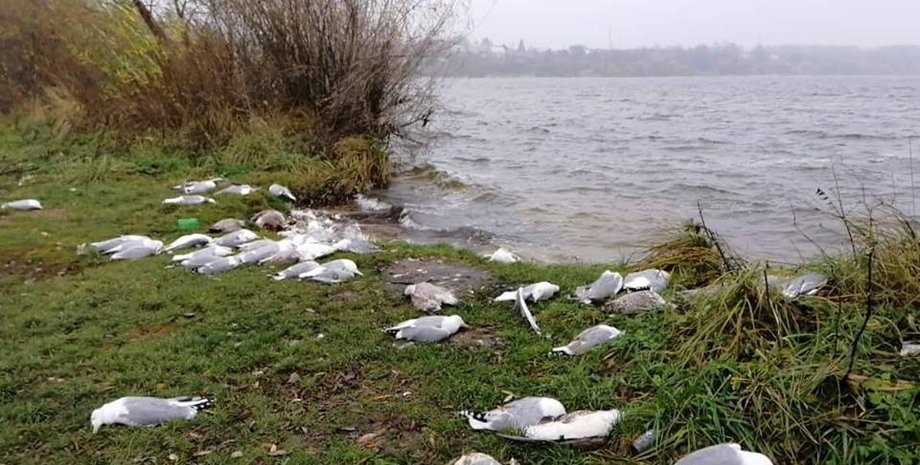 Фото: facebook.com/Новини-ТТБ