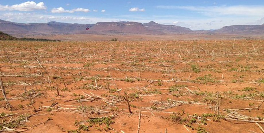 Засуха в Лесото - последствие Эль-Ниньо / Фото ФАО