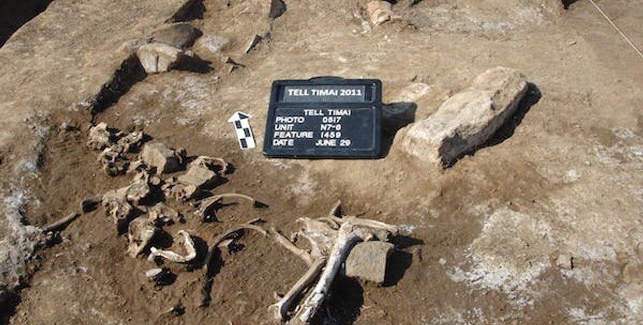 археологія, історія, писемність, дослідження, стародавній єгипет