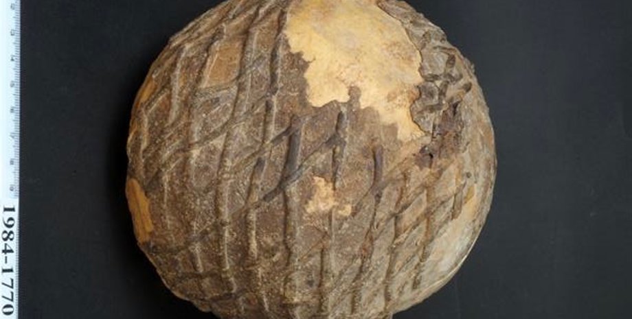 череп, асфальт, нить, узор, фото