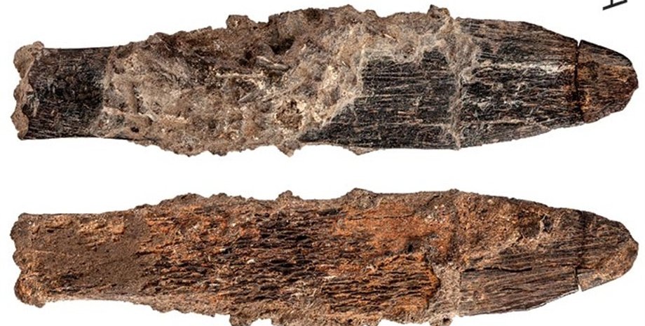 Костяное орудие атерийцев. A.Bouzouggar et al. / PLoS ONE, 2018