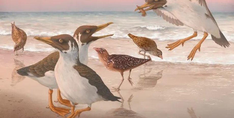 древние птицы