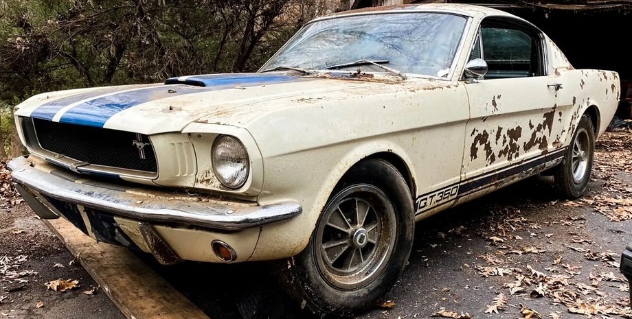 Ford Mustang Shelby GT350, Ford Mustang, Shelby GT350, Ford Mustang 1965, Shelby GT350 1965