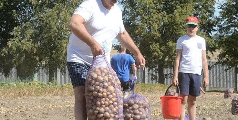 Иллюстративное фото