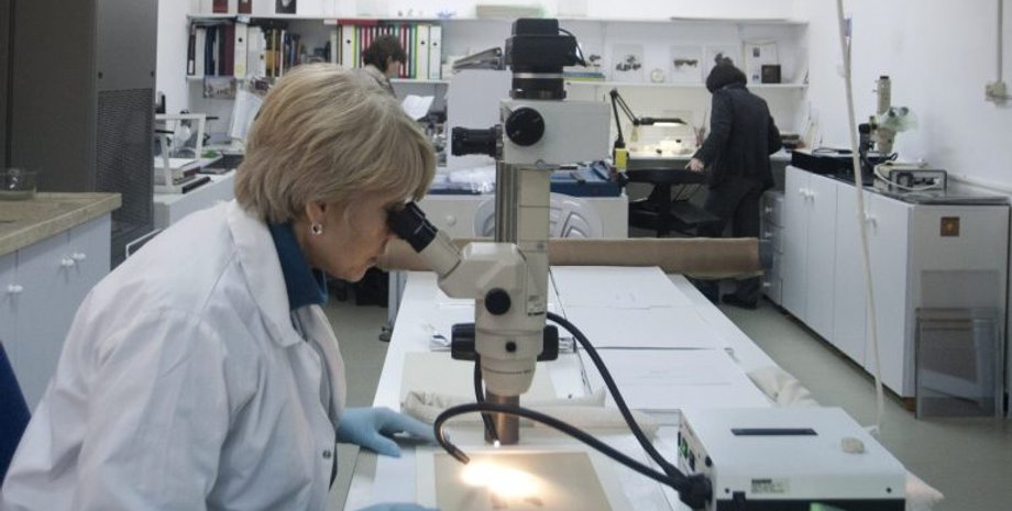 миллиметровое излучение, волны, излучение