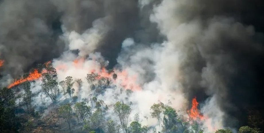 амазонка, пожежа в амазонці, лісова пожежа амазонка