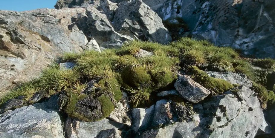 Антарктида, изменение климата