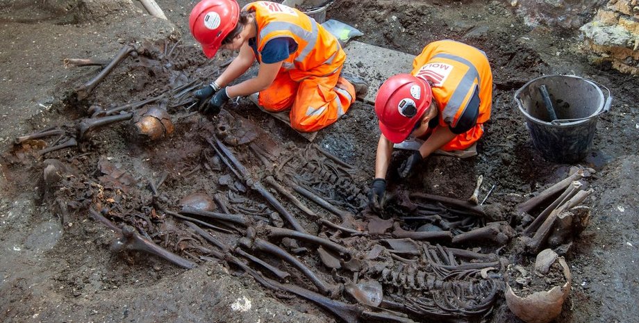 останки людей, ученые, раскопки, фото