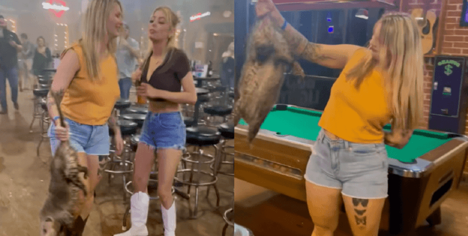 Бар, дівчина, тварина, опосум, кантрі-бар, відвідувачі, танцювальний бар,