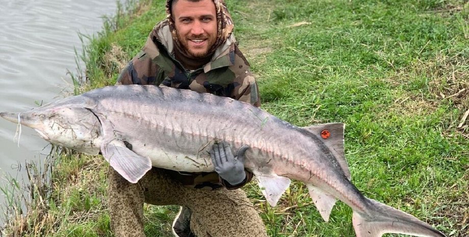 Василий Ломаченко