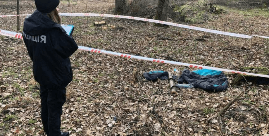 Колпитов, металлоискатель, волынь, Во Владимирском районе Волынской области, Подрывы гражданских на минах