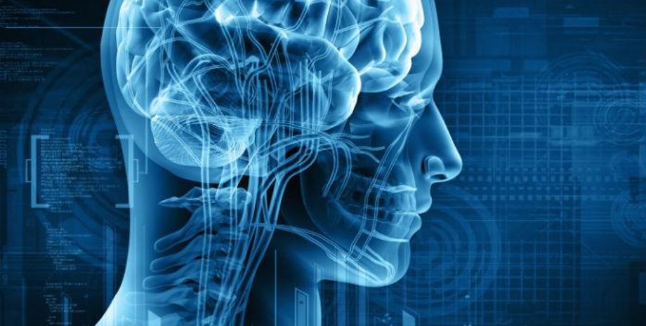 Фото: Teleprogramma.pro