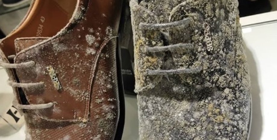 Фото: Facebook/Nex Nezeum