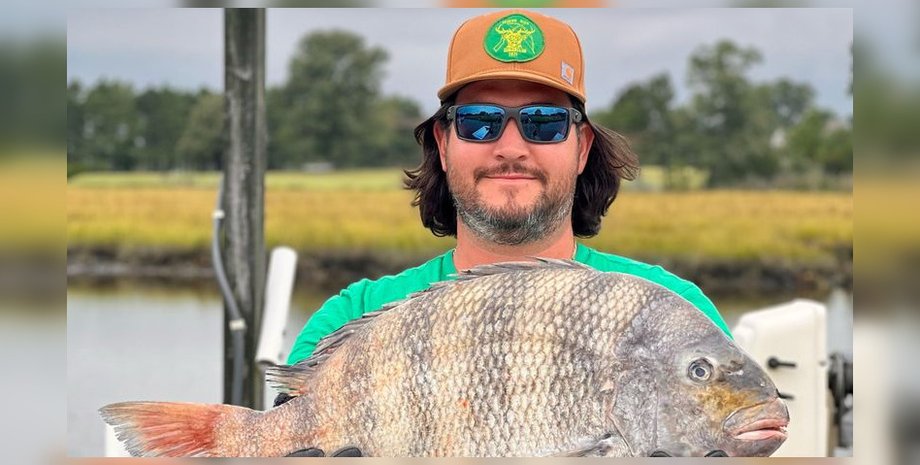 Риба з людськими зубами, вівцеголова риба, риба-каторжник, риба, улов, рибалка, спіймав незвичайну рибу, людські зуби