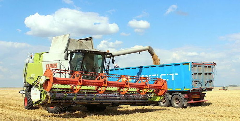 Фото из открытых источников