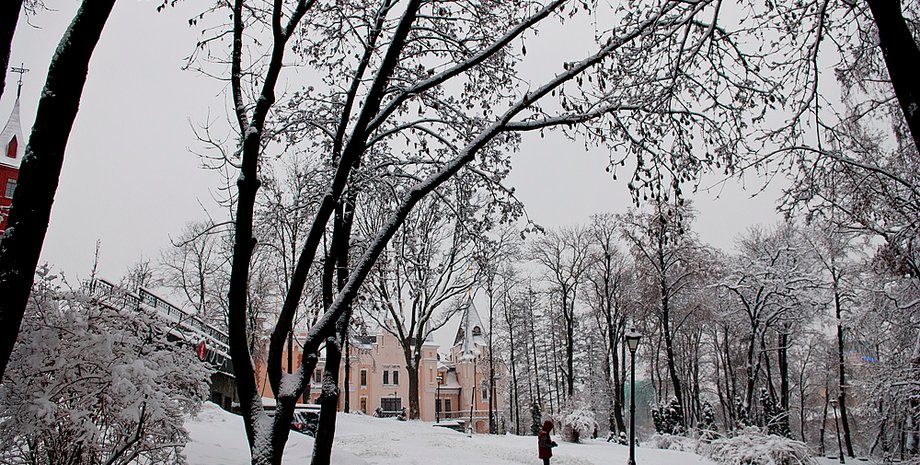 Ярослав Дебелый, Фокус.ua