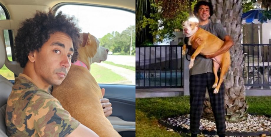 Мужчина нашел собаку за 1609 км от дома, собака, собака по кличке Луна, домашнее животное, собака сбежала из дома,