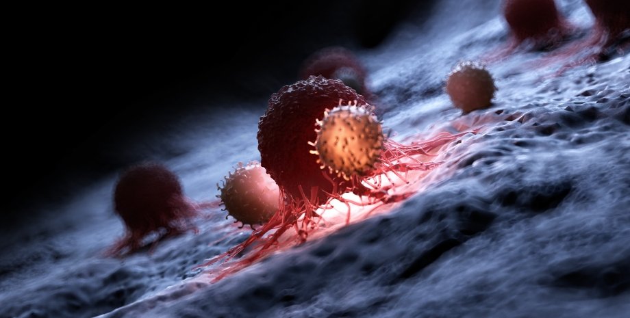 клетки рака, онкология