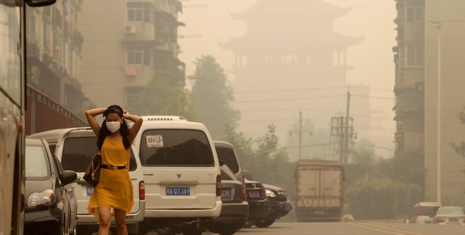 лес, летучая мышь, миграция, пандемия коронавируса 2021, изменения климата