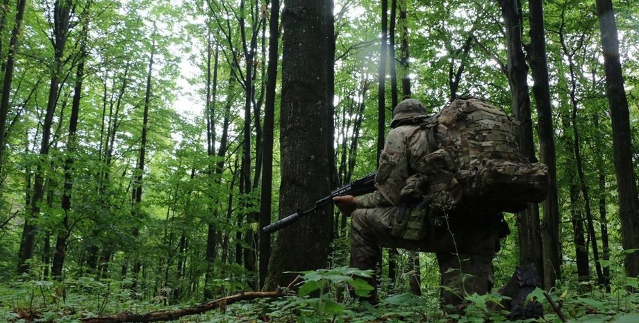 партизанський рух