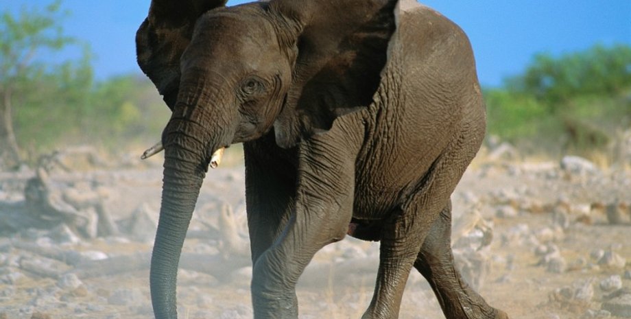 Фото: posternazakaz.ru