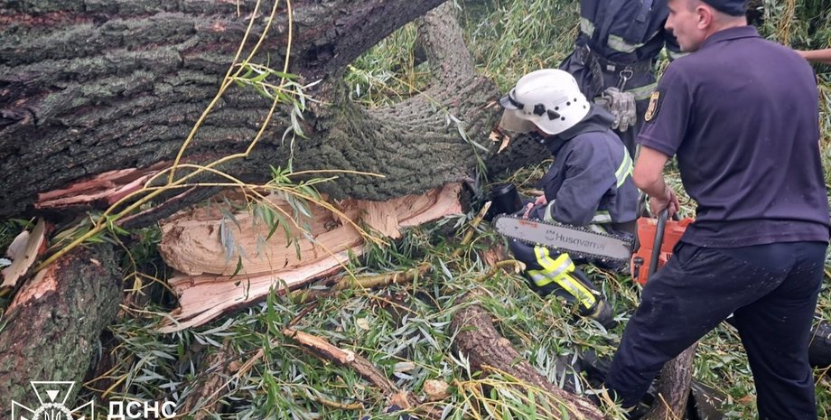 одесская область упало дерево