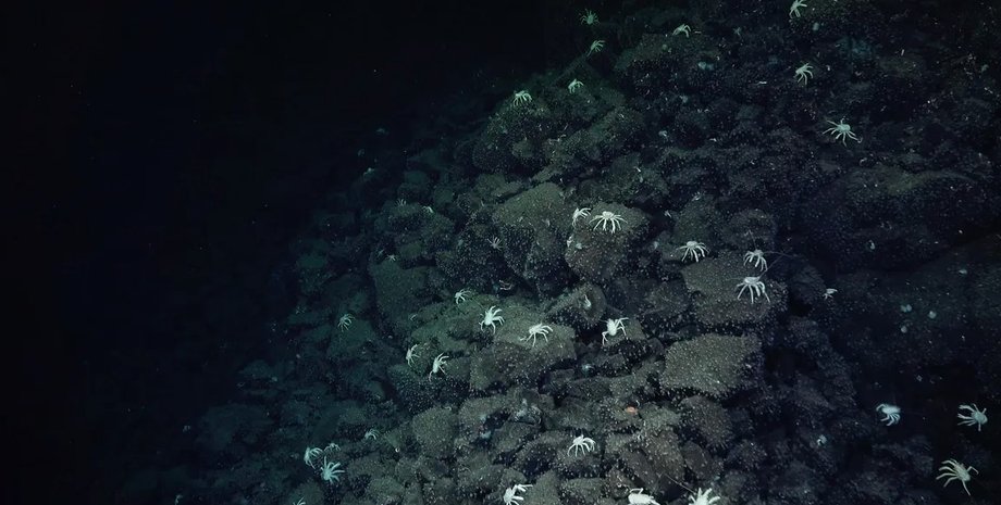 гидротермальный источник, океан