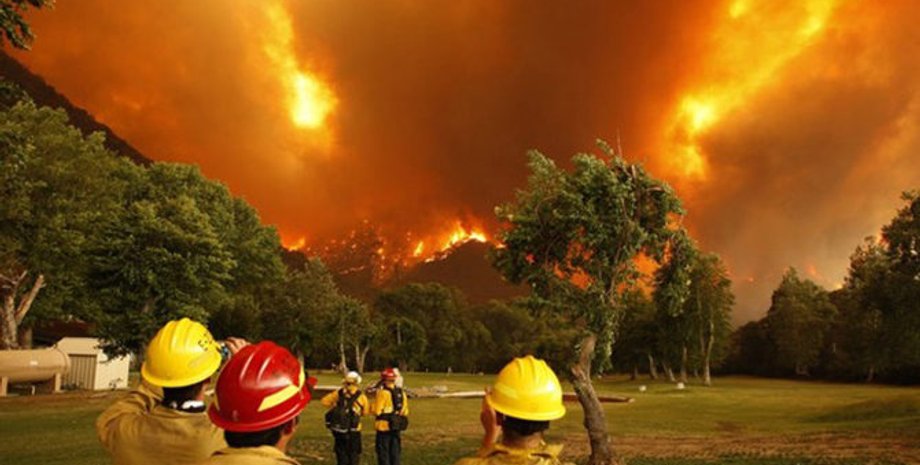 Фото из открытых источников