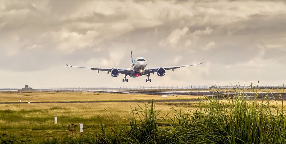 Фото: twitter.com/flyfrenchbee