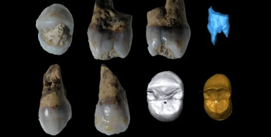 пещера, Испания, зубы, неандертальцы, исследования, находка, археологи, археология, гоминины, открытие, Абреда