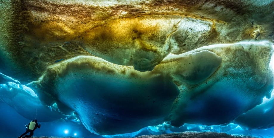 нтарктида, подводные фото