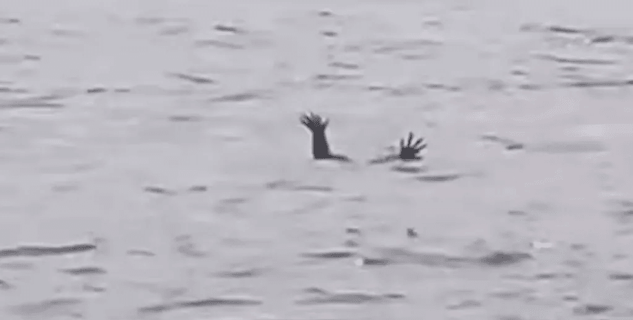 Аллигаторы имитируют тонущих людей, хитрые аллигаторы, лапы аллигатора, находчивые рептилии, заманивают жертву, тонущие люди