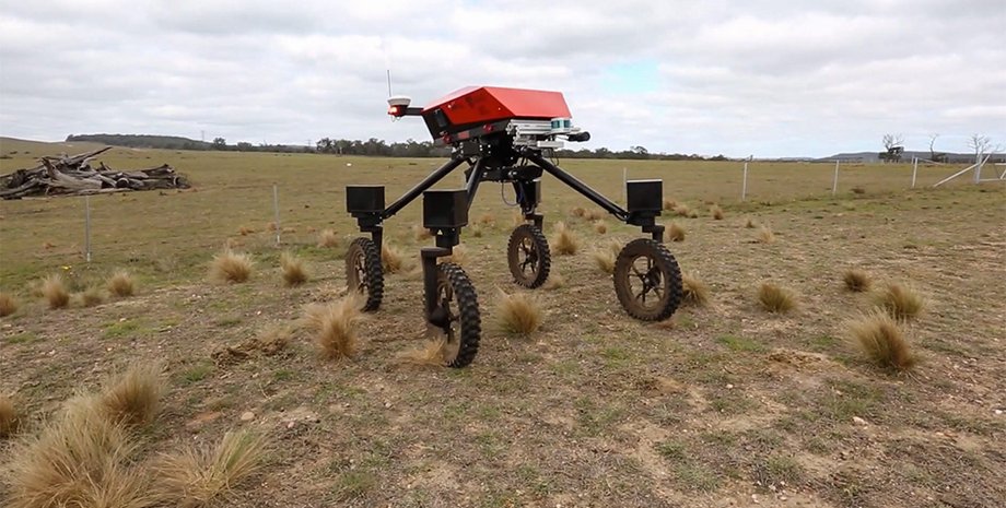 Фото: unisydneyacfr / YouTube