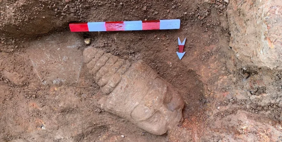 археологи, археология, Камбоджа, статуя, Дева, Ворота Победы, империя, кхмеры, столица, король, правление, культура, находка, раскопки