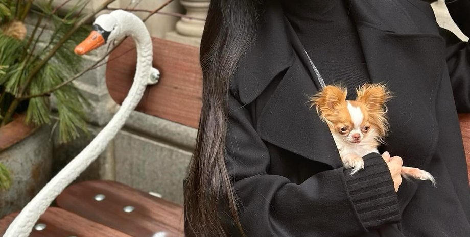 Деми Мур, актриса, карьера