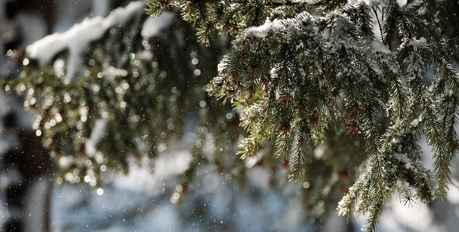 снег, зима, мороз, холод