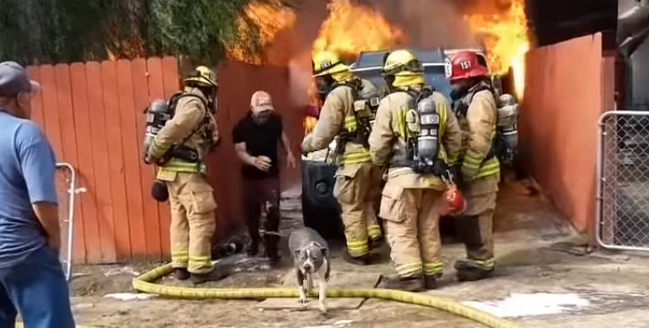 Фото: Скриншот из видео Inside The Badge Channel