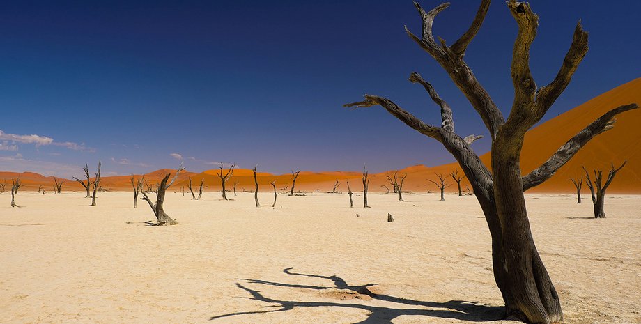 Фото: из личных архивов