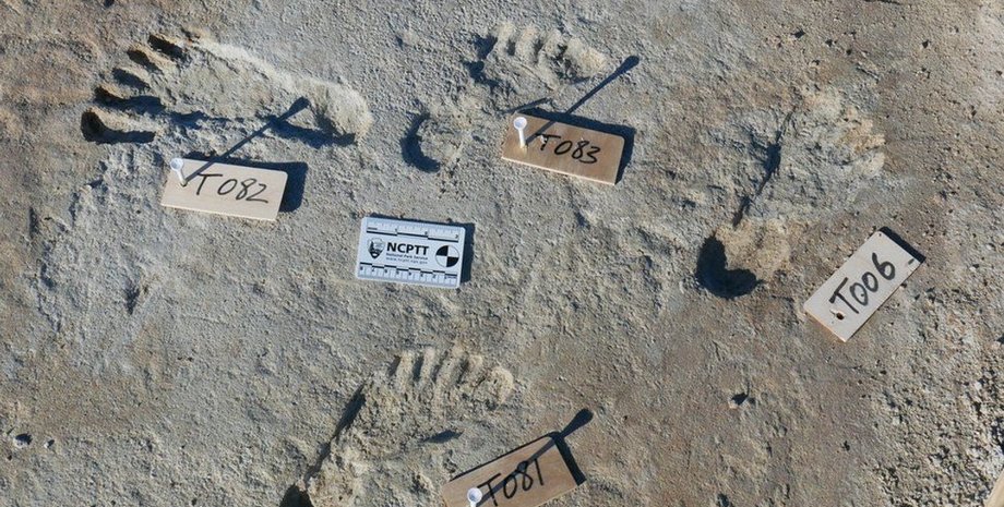 отпечатки, знаки, фото