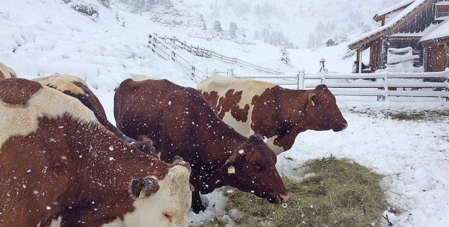 Фото: spiegel.de