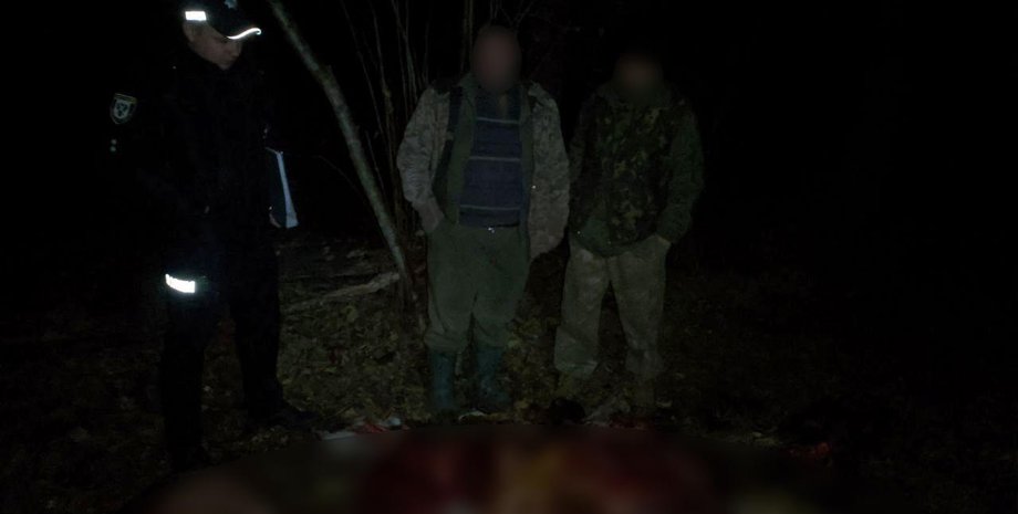 Под Черниговом браконьер убил лося и умер, убегая от лесничих
