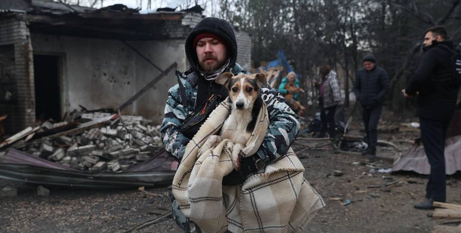 руйнування притулку у Запоріжжі 6 лютого