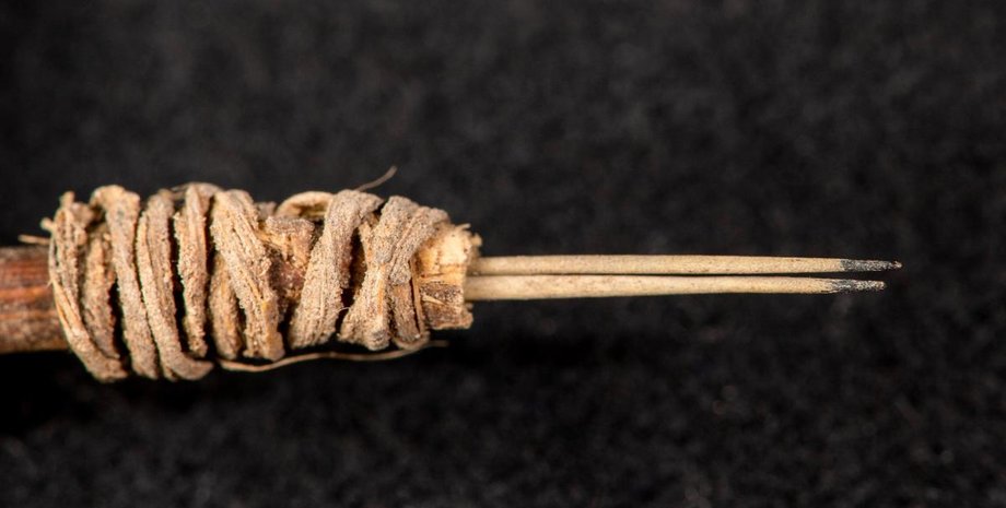 фото Bob Hubner, WSU