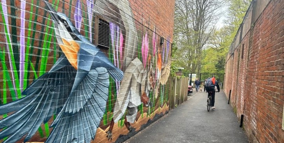 Бирмингем, парк в городе Бирмингем, парк в городе, секретный парк, парк с озером, место для отдыха, зеленый парк, зеленая зона, улица, тайный проход