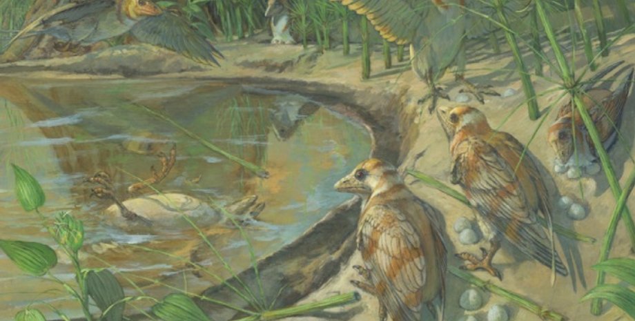 Иллюстрация:  MICHAEL ROTHMAN