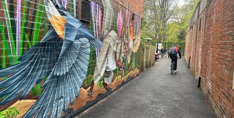 Бирмингем, парк в городе, секретный парк, парк с озером, место для отдыха, зеленый парк, зеленая зона, улица, тайный проход