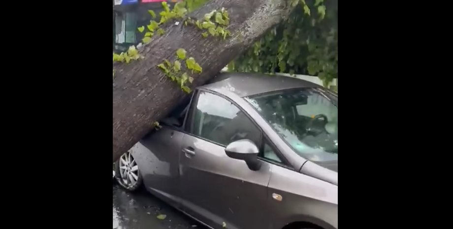 Циклон Эммелинде, тайфун, циклон, ураган в украине, ураган во львове