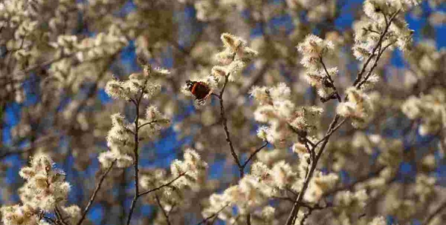 Погода в Украине