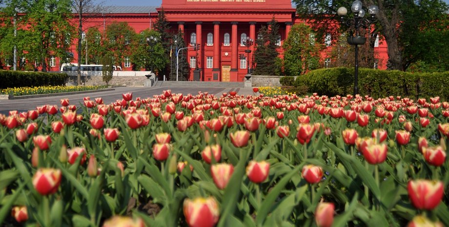 Университет им. Шевченко / Фото: mygazeta.com