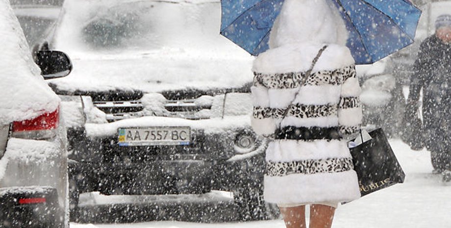 Фото: Вести